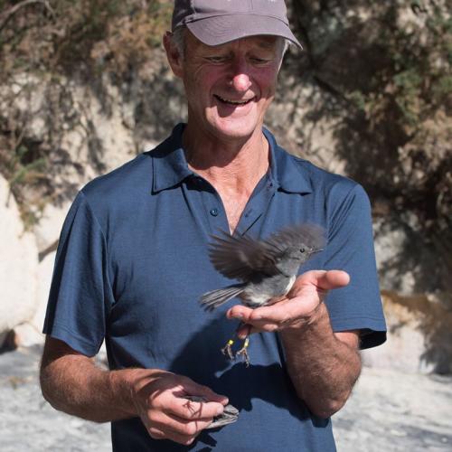 Birdsong Trust