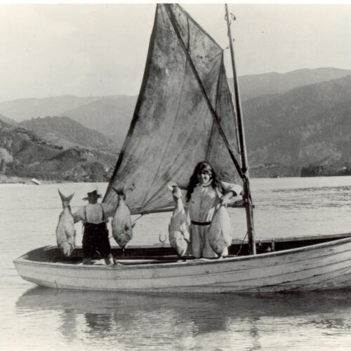 Awaroa Fishing