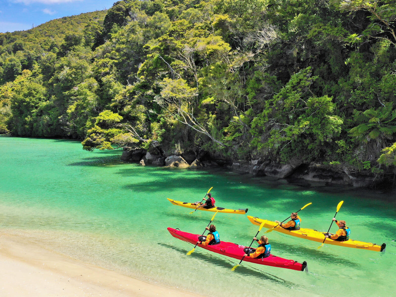 Abel Tasman Kayak Trip 60 Photos Mariaserkin