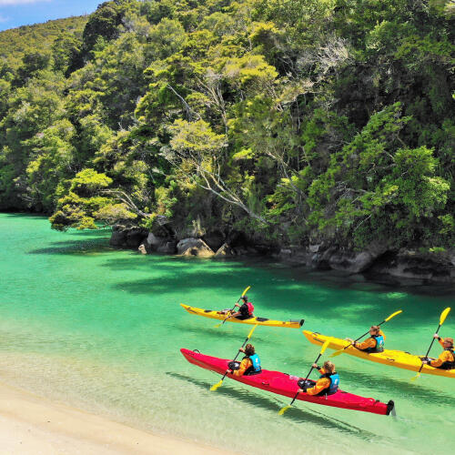 Guided Sea Kayak