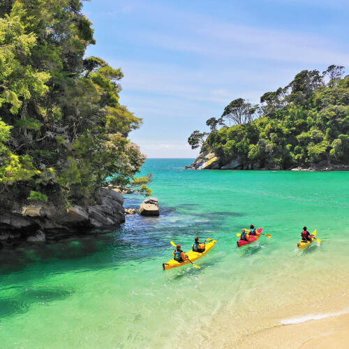 Kayak with Wilsons Abel Tasman