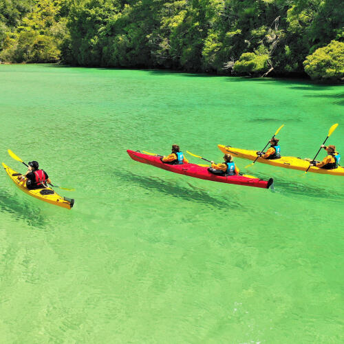 Kayakers