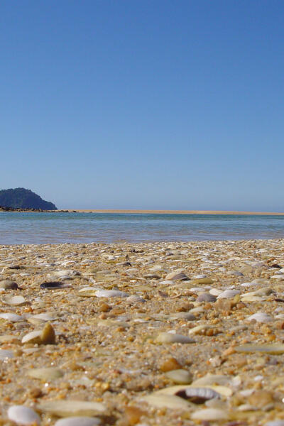 Low Tide at Awaroa