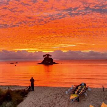 Abel Tasman Coastal Rowing