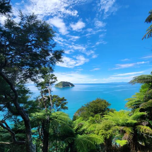 Bush Walk