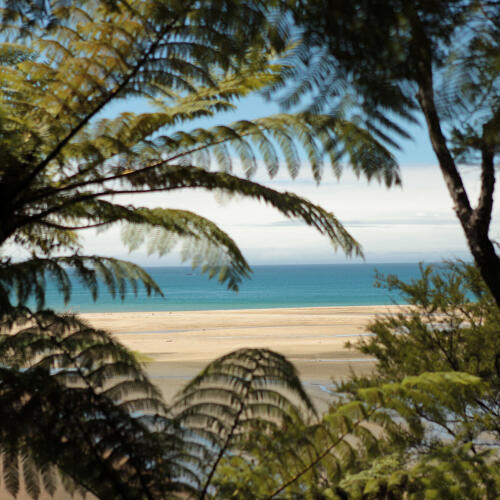 Ferns Sky Beach 2