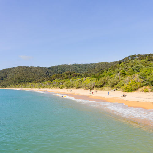  Tōtaranui