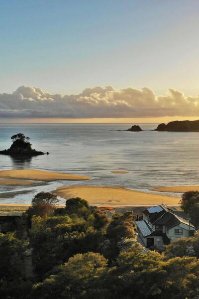 Torrent Bay Website