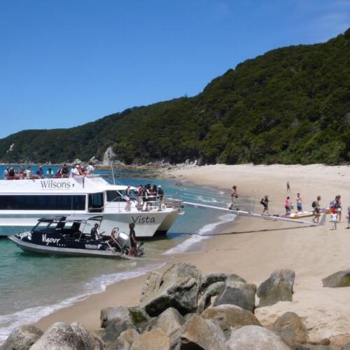 Vigour and Vista Cruises