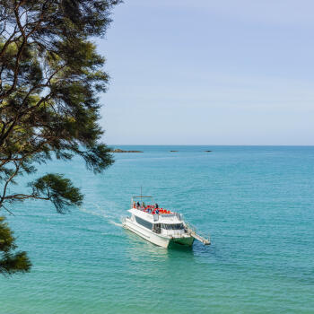 Vista Cruise