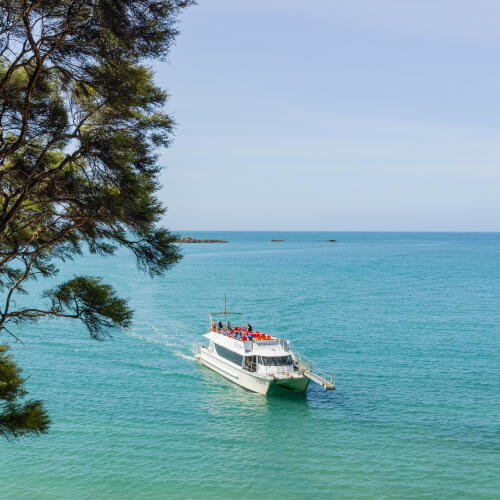 Vista Cruise