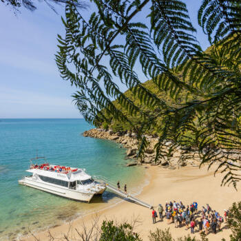 Vista Loading at Medlands