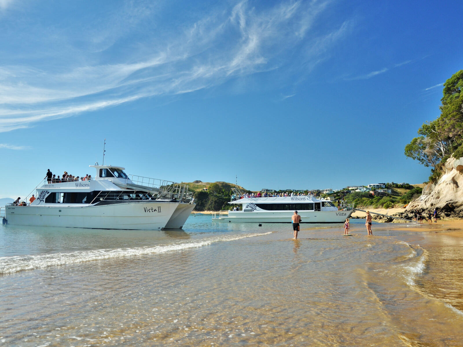 Abel Tasman National Park Coffee Cruise