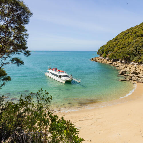 Comfortable Beach Landing