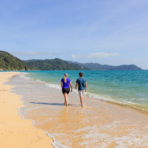 Awaroa Beach Walk