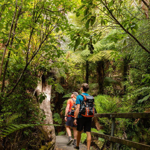 Bush Walk over Bridge