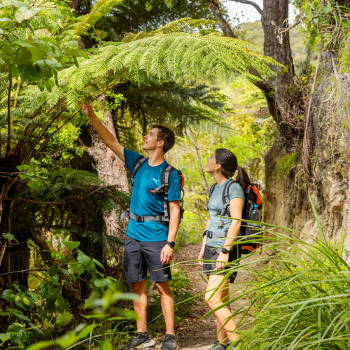A Day in Abel Tasman National Park