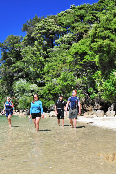 Walk Abel Tasman