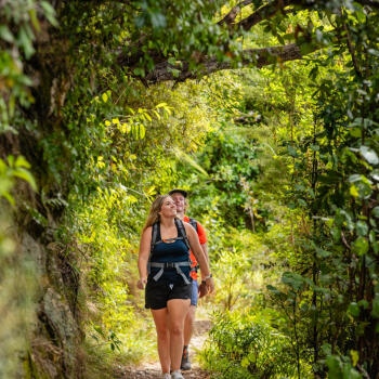 Walking Bark Bay Track