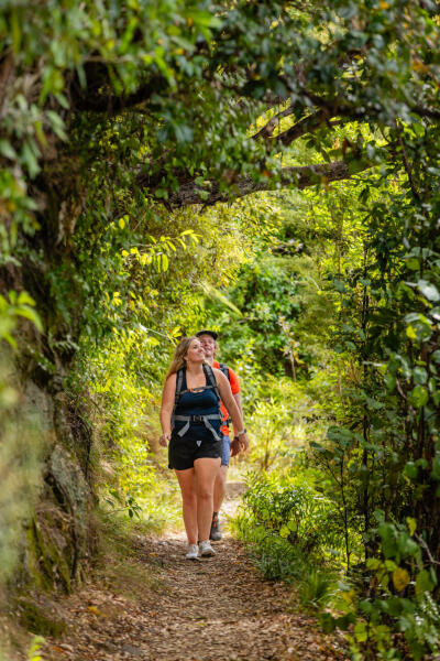 Walking Bark Bay Track
