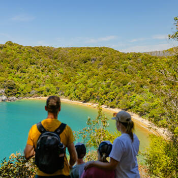 Te Pukatea View