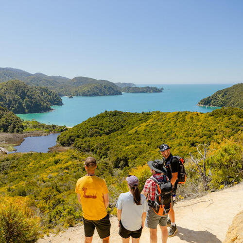 Walk with a Guide Abel Tasman Coast Track