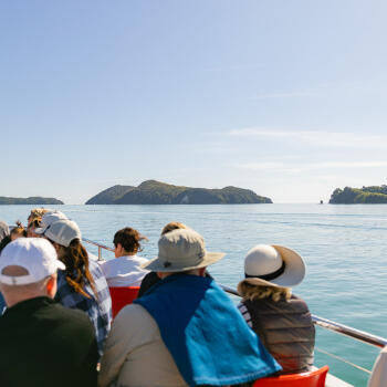 Relax on board the Vista Cruise